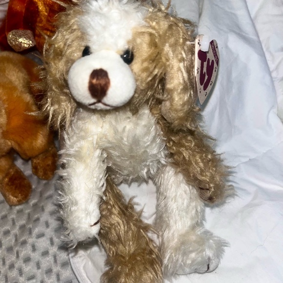 Ty beanie babies! Tags and tush tags all attached. New condition, always stored. - Picture 13 of 16